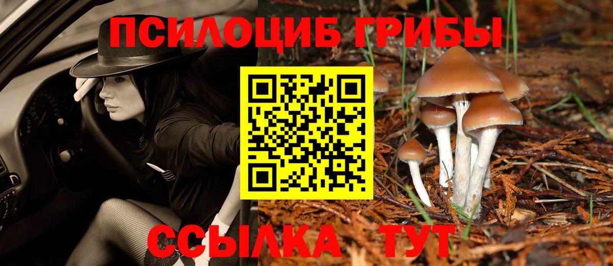 Галлюциногенные грибы прущие грибы  Вход с VPN  Мичуринск 