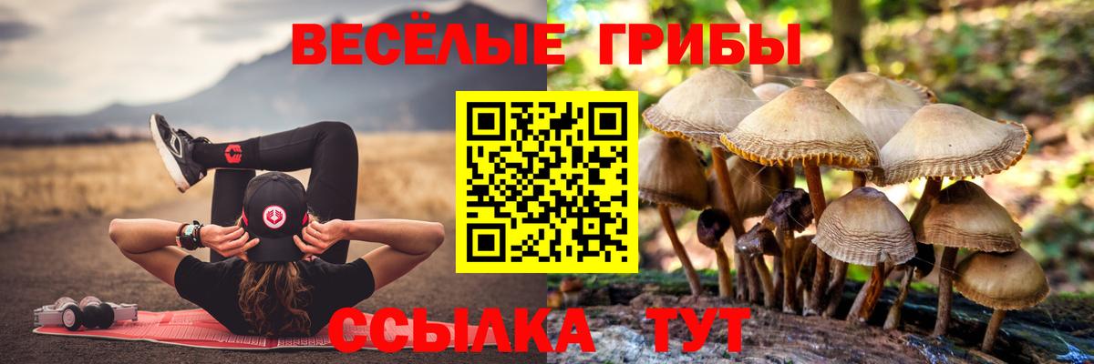 Псилоцибиновые грибы Magic Shrooms Мичуринск